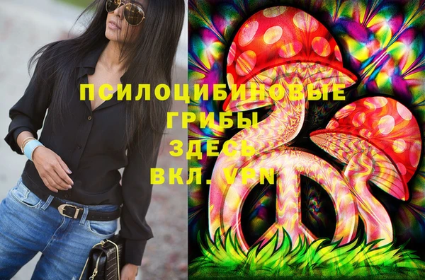 МДПВ Волоколамск