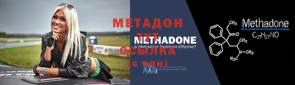 индика Горнозаводск