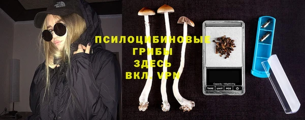 mix Вяземский