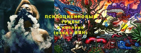 СК Володарск