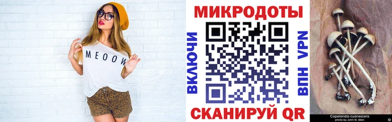 Псилоцибиновые грибы GOLDEN TEACHER  Зея 